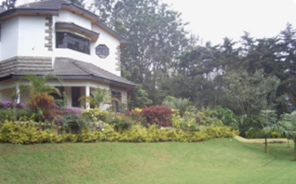 Residential House